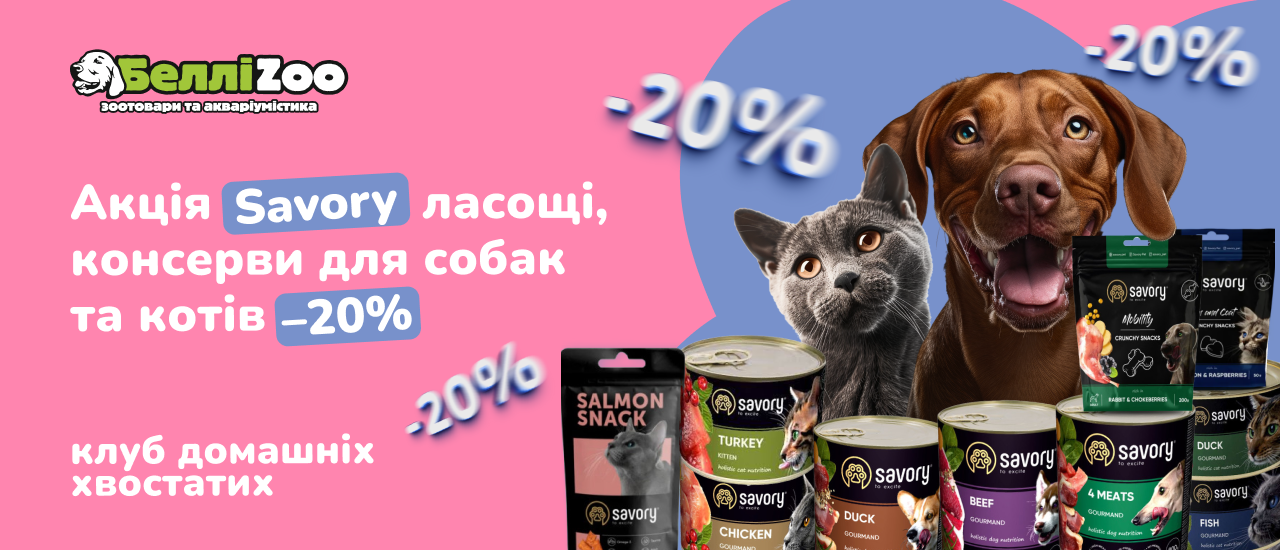 sdaasd