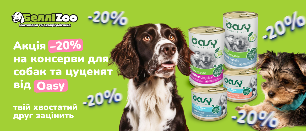 324234
