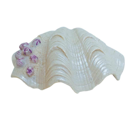 Nobby Декорация в аквариум Ракушка 14,5×10,7×5,3 см
