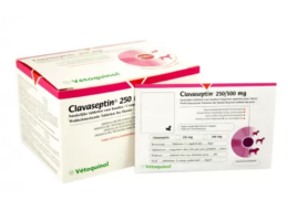 Vetoquinol Clavaseptin Антибиотик для собак и кошек 500 мг Цена за 5 табл