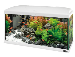 Ferplast Аквариумный комплект Capri 80 Led 80x31,5x46,5 см 100 л белый