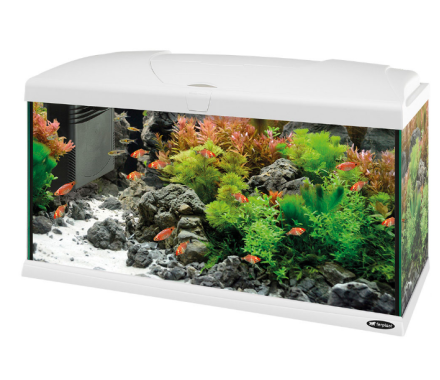 Ferplast Аквариумный комплект Capri 80 Led 80x31,5x46,5 см 100 л белый