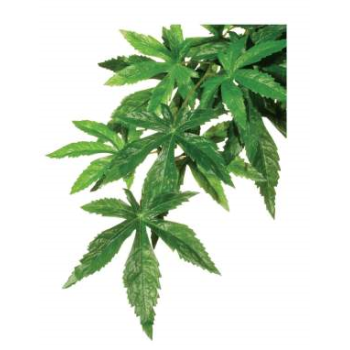 ExoTerra Рослина для тераріуму Abutilon Silk пластик текстиль