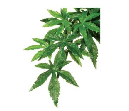 ExoTerra Рослина для тераріуму Abutilon Silk пластик текстиль