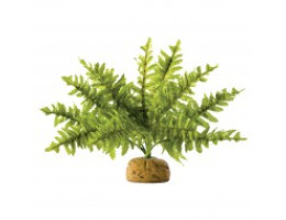 ExoTerra Растение для террариума Boxwood Bush пластик