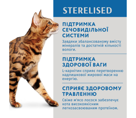 Optimeal Вологий корм для котів Стерилізовані Лосось та чорниця в соусі 85 г