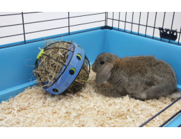 Nobby Сінник-куля для гризунів Bunny toy 16 см