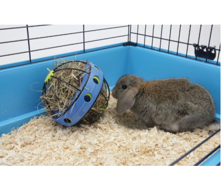 Nobby Сінник-куля для гризунів Bunny toy 16 см