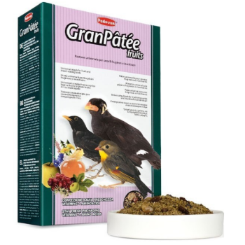 Padovan Granpatee Fruits Корм для насекомоядных попугаев 1 кг