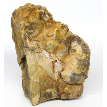 Hobby Декорація в акваріум Камінь Petrified Wood М 1-2,2 кг