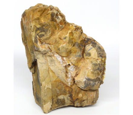 Hobby Декорація в акваріум Камінь Petrified Wood М 1-2,2 кг