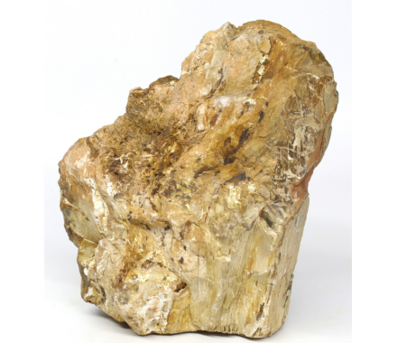 Hobby Декорація в акваріум Камінь Petrified Wood М 1-2,2 кг