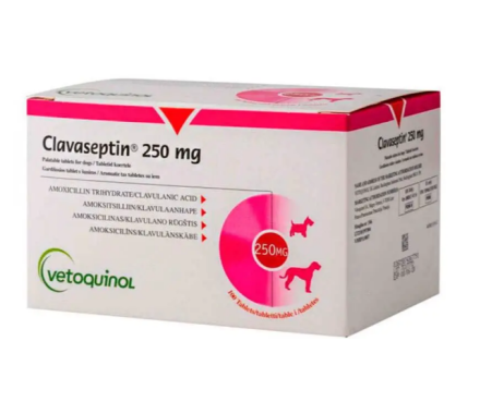 Vetoquinol Clavaseptin Антибиотик для собак и котов 250 мг Цена за 5 табл