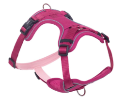 Nobby Шлейка для собак Harness Mailo S 1,5х23-35х45-55 см малиновая