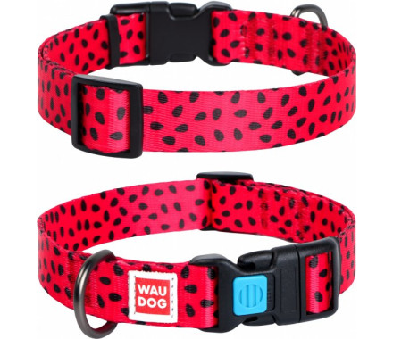 Waudog Nylon Нашийник для собак QR-паспорт пластиковий фастекс Ш 20 мм Д 24-40 см Кавун