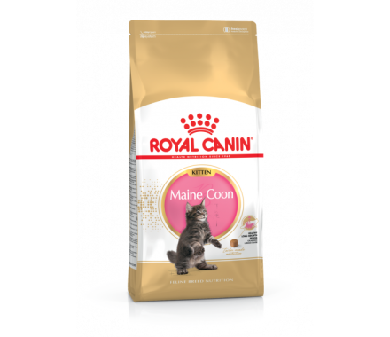 Royal Canin Сухой корм для котят Maine Coon Kitten 2 кг