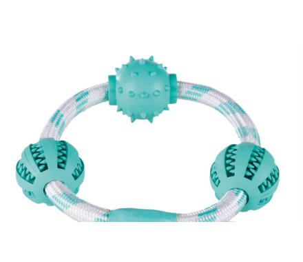 Trixie toy for dog Denta Fun Ring Chanate with Gum balls with mint 20 cm