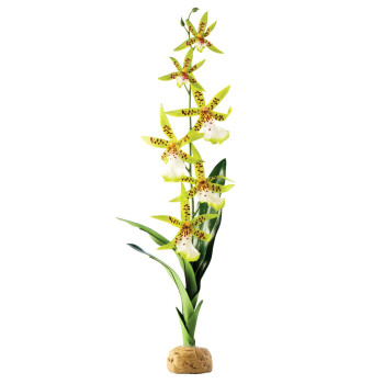 ExoTerra Рослина для тераріуму Spider Orchid пластик текстиль