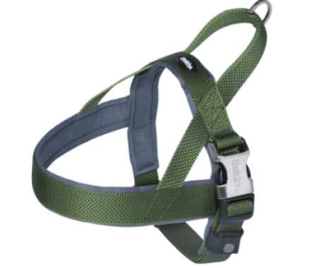 Nobby Шлейка для собак Norwegia Classic Preno Royal S-M 2-2,5х38-50 см зелёная