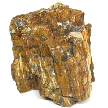 Hobby Декорація в акваріум Камінь Petrified Wood L 2,2-4 кг