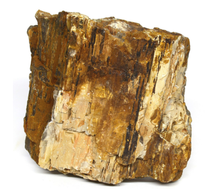 Hobby Декорація в акваріум Камінь Petrified Wood L 2,2-4 кг