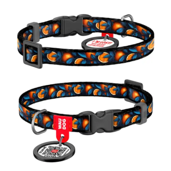 Waudog Nylon Ошейник для собак QR паспорт пластиковый фастекс XS Ш 10 мм 20-30 см Апельсины