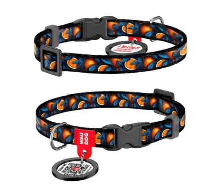 Waudog Nylon Нашийник для собак QR паспорт пластиковий фастекс  XS Ш 10 мм 20-30 см Апельсини
