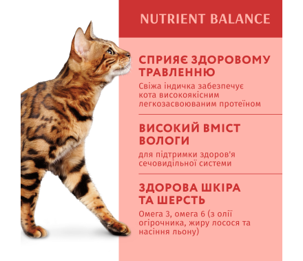 Optimeal Вологий корм для котів Індичка у гарбузовому соусі 85 г
