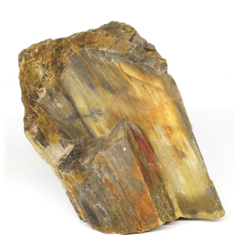 Hobby Декорація в акваріум Камінь Petrified Wood S 0,3-1 кг