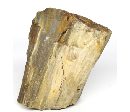 Hobby Декорація в акваріум Камінь Petrified Wood S 0,3-1 кг
