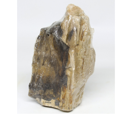 Hobby Декорація в акваріум Камінь Petrified Wood S 0,3-1 кг