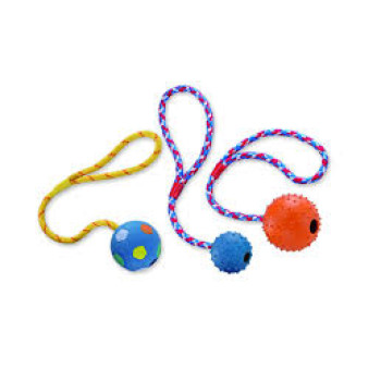Nobby toy for dogs ball on a lace with a bell 5 cm