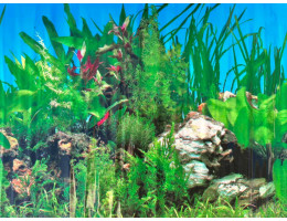 Aquasnag Фон односторонній тонкий 30 cм