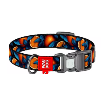 Waudog Nylon Ошейник для собак QR паспорт пластиковый фастекс Ш 20 мм Д 28-40 см Апельсины