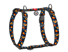 Waudog Nylon Шлейка для собак анатомическая QR паспорт 2х40-70х50-80 см Апельсины
