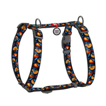 Waudog Nylon Шлейка для собак анатомическая QR паспорт 2х40-70х50-80 см Апельсины