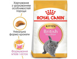 Royal Canin Сухой корм для котят British Shorthair Kitten 2 кг