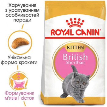 Royal Canin Сухой корм для котят British Shorthair Kitten 2 кг