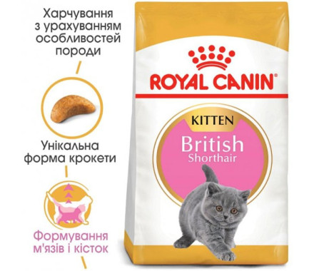 Royal Canin Сухой корм для котят British Shorthair Kitten 2 кг