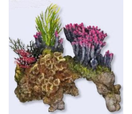 Nobby Декорация в аквариум Коралл на камне 15,5×9×10,5 см